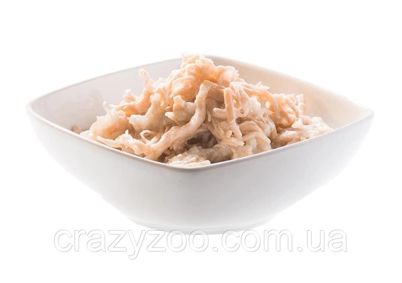 Влажный корм для щенов Schesir Chicken Aloe Puppy курица с алоэ 150 г 712639 | Зображення 2
