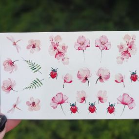 Слайдер B-06 на водяній основі (5x8см)