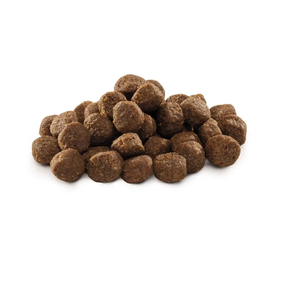 Сухий корм Brit Premium Dog Junior M для цуценят середніх порід від 1 до 12 місяців, з куркою 15 кг | Зображення 1