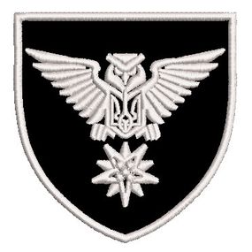 Шеврон Рота розвідки