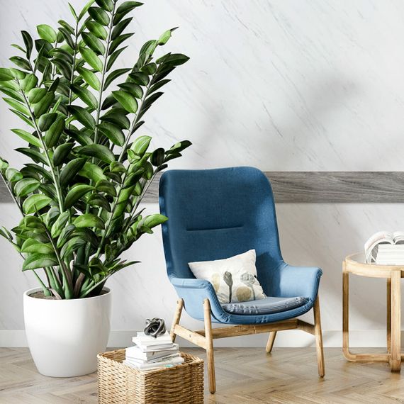 Молдинг вініловий самоклеючий 5000х100х2мм Матовий (D) SW-00001797 | Зображення 5