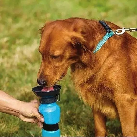 Поилка для собак дорожная переносная Aqua Dog 537 мл портативная бутылка для крупных и мелких собак FS-97 | Зображення 2