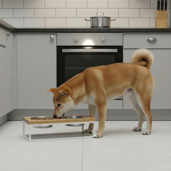 Миски на подставке для средних собак и больших котов Hollky Base M (2 × 0,95 л) BM-422110-WHNT | Зображення 1