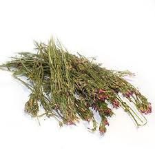 Золототисячник / Цинторія, 100г.