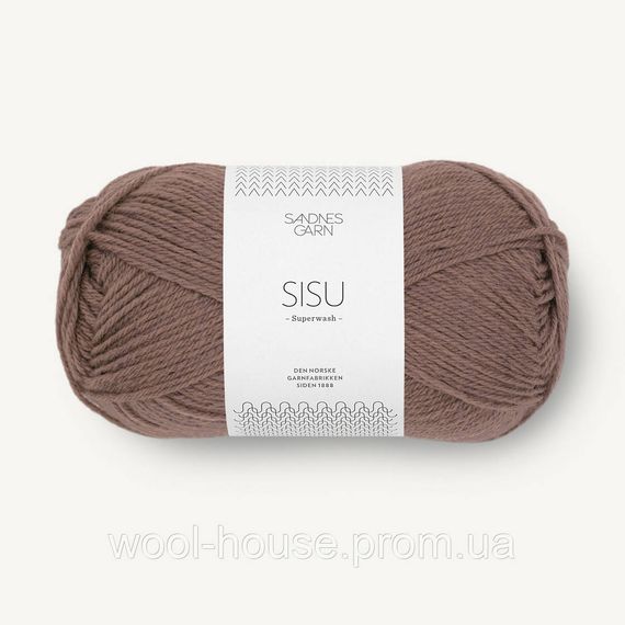 Шкарпеткова пряжа Sandnes Garn Sisu 50 г, 3161