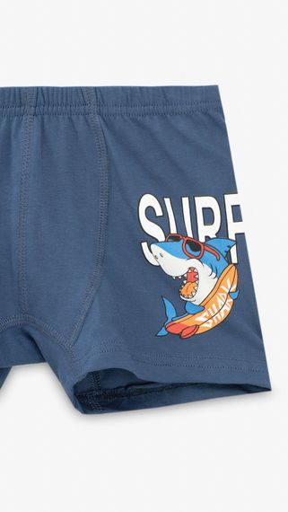 Труси для хлопчика 41801 4-5 років Синій shop (2000999495083) | Зображення 1
