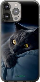 Чохол на iPhone 13 Pro Max Димчастий кіт "825t-2371-2448"