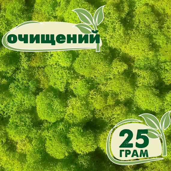 Очищений стабілізований мох ягель Зелений весняний 25 грам