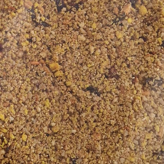 Корм з медом та ягодами для птахів Versele-Laga NutriBird Gold Patee Forest Fusion, 250 гр | Зображення 1