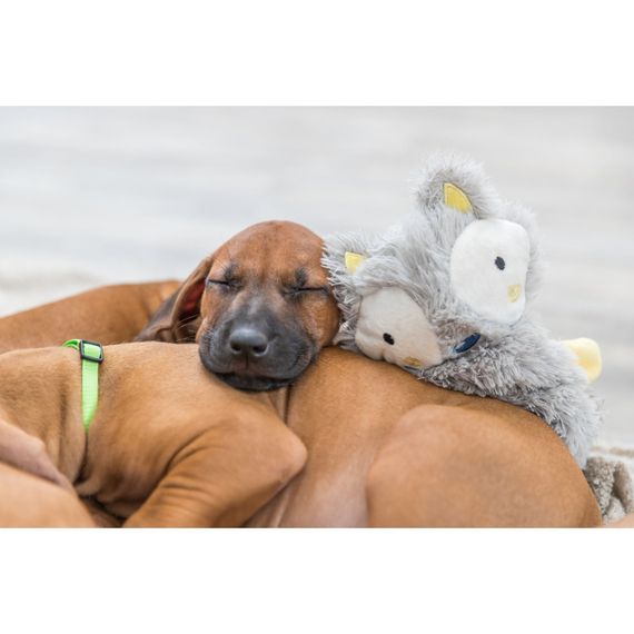 Іграшка Trixie для цуценят звисаюча плюш 33 см | Зображення 3