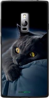 Чохол на OnePlus 2 Димчастий кіт "825u-386-2448"