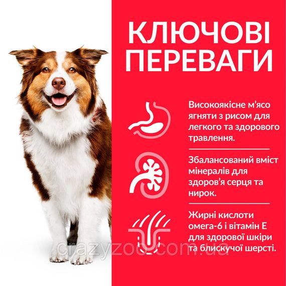 Сухой корм для собак средних пород старше 7 лет Hills Science Plan Medium Mature Adult 7+ Lamb & Rice с | Зображення 1