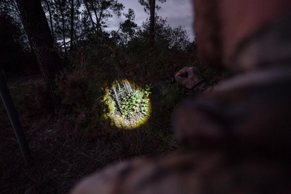Ліхтар для полювання, 100 люмен - Чорний - Без розміру | Зображення 7