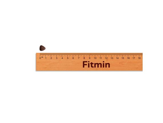 Fitmin dog Purity GF Adult Mini Beef (для дорослих собак малих порід з яловичиною), 4 кг | Зображення 2