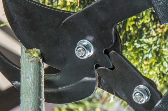 Секатор-сучкоріз Verto телескопічний 15G253 | Зображення 1