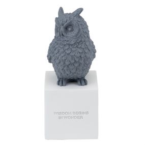 Декоративна статуетка Owl 12х12х30 см