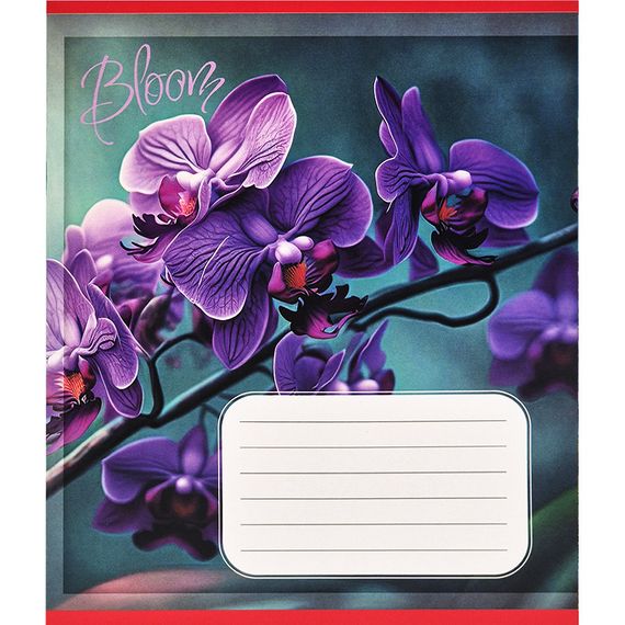 Зошит учнівський "Орхідеї" 018-530261K-4 в клітинку, 18 аркушів