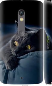 Чохол на Motorola Moto X Play Димчастий кіт "825m-459-2448"