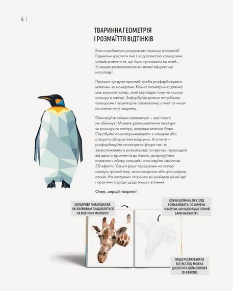 Розмальовка. Зоометрія. Дикі тварини Z101047У Жорж 28,5*23 см (9786177579921) | Зображення 1