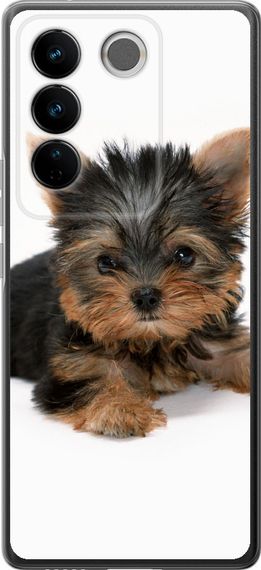 Чехол на Vivo S16 Pro Щенок йоркширского терьера "931u-3123-17620"