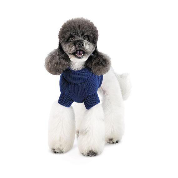 Светр Sam Pet Fashion для собак, розмір ХS синій | Зображення 2