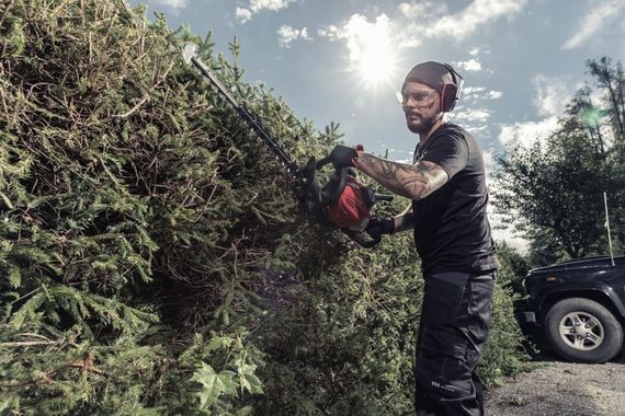 Кущоріз бензиновий solo by AL-KO 163-55 (127325) | Зображення 1