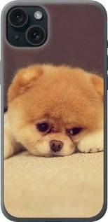 Чохол на iPhone 15 Plus Boo 2 із силікону FCh_011608