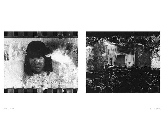 Книга японские фотографы современности Нобуёси Араки Nobuyoshi Araki. The Araki Effect книги по фотографии | Зображення 4