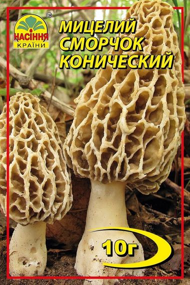 Сморчок конічний 10 г