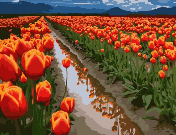 Картина за номерами. Art Craft "Поля в Голландії" 40 * 50 см 10524-AC