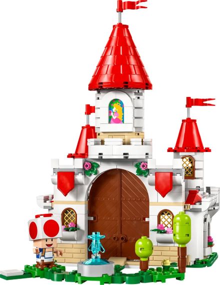 Конструктор LEGO Super Mario Битва з Роєм біля замку Піч 71435 | Зображення 4