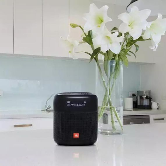 Акустична система JBL Tuner XL Black (JBLTUNERXLBLKEU) | Зображення 7