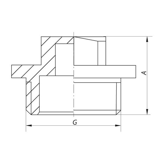Заглушка Koer KF.P06M.WN - 1/2'' Н (без никеля) (KR3023) | Зображення 1