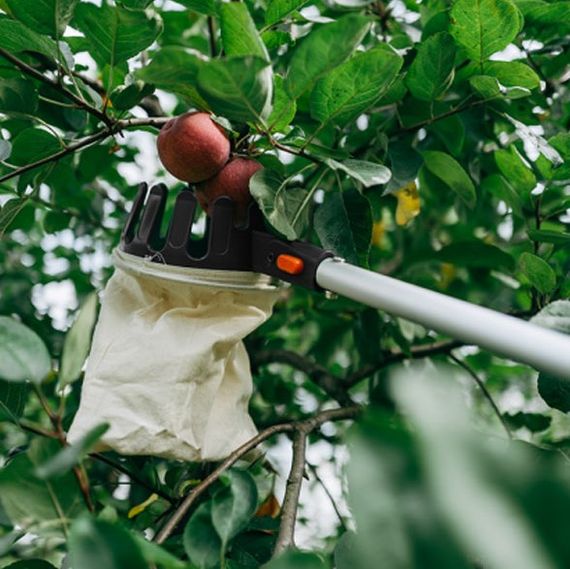 Плодознімач Bradas на телескопічному держаку 3.75 м KT-V1531-375 | Зображення 1