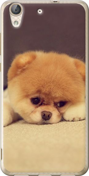 Чехол на Huawei Y6 II Boo 2 "890u-338-17620"