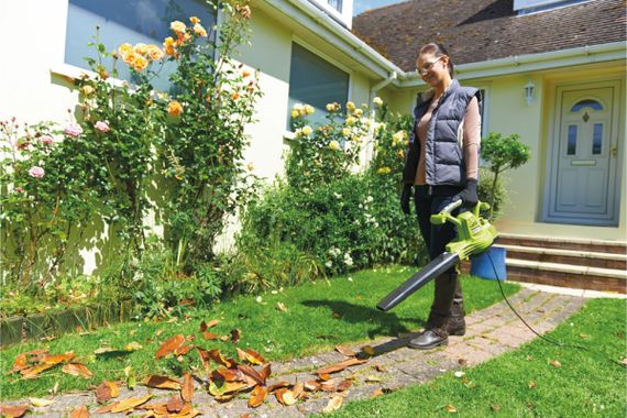 Повітродув-пилосос RYOBI RBV3000CSV з подрібнювачем 5133002188 | Зображення 4