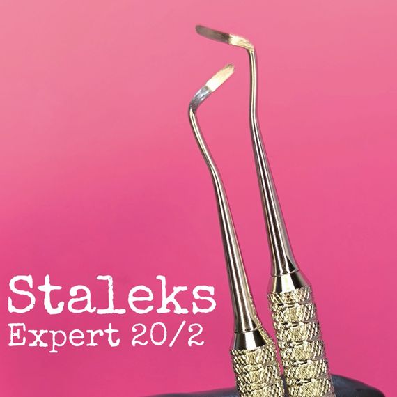 Лопатка педикюрна Staleks PRO Expert 20/2 (кюретка двостороння)
