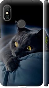 Чохол на Xiaomi Redmi Note 6 Pro Димчастий кіт "825m-1551-2448"