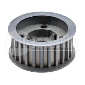 Шестерня распредвала Fiat Doblo 1.9 JTD 03-/ Croma 1.9 D Multijet 05-11/ Stilo 1.9 JTD/D Multijet (z=25), AutoTechteile, 510 0100,