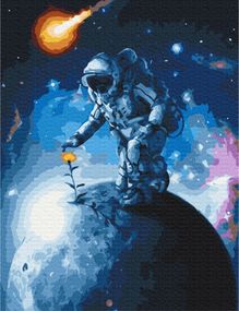 Квіти Всесвіту