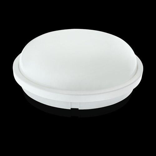 Светильник светодиодный ЖКХ Biom SMPL-R20-6 20Вт 6000К, круг, sensor
