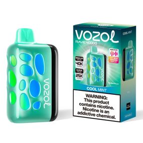 Vozol Rave 40000. Мята (Cool Mint)