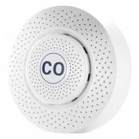 486121 Датчик уровня угарного газа CO Tervix Pro Line Zigbee CO