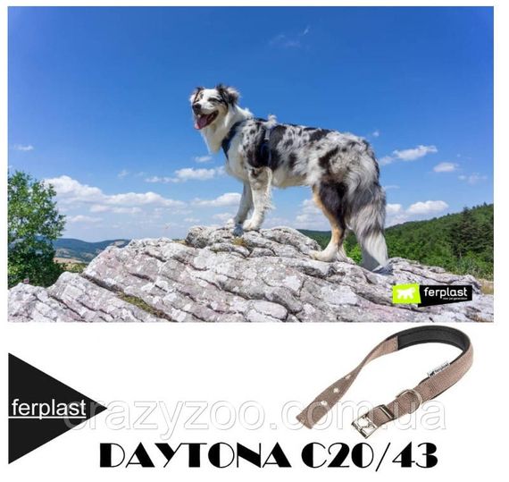 Ошейник для собак Ferplast Daytona C20/43 нейлоновый коричневый 2х35-43 см 75246912 | Зображення 3