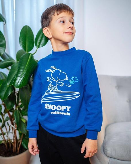 Джемпер для хлопчика Носи своє 110 Синій (p-2863-94772) | Зображення 2
