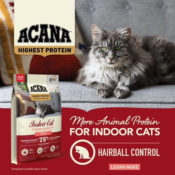 Сухой корм с курицей и рыбой для домашних котов Acana Highest Protein Indoor Cat, 1.8 кг | Зображення 3