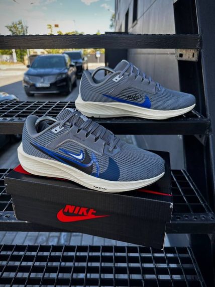 Кросівки Nike Zoom Pegasus 40 (d. gray) | Зображення 1