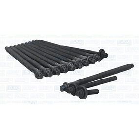 Комплект болтов ГБЦ BMW N13 1 F20/F21 11-/ 3 F30/F31 12-16 / Citroen Berlingo / Peugeot Partner 1.6 VTi 09-,81044100