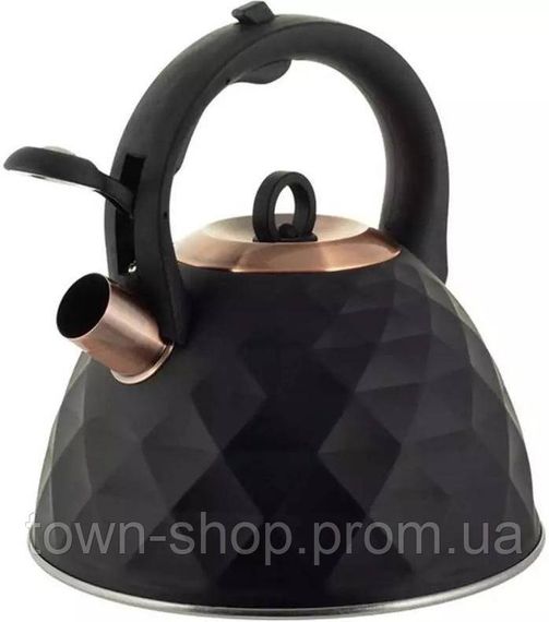 Чайник Kamille Whistling Kettle Black Сrystal 3л из нержавеющей стали со свистком KM-0867 | Зображення 1