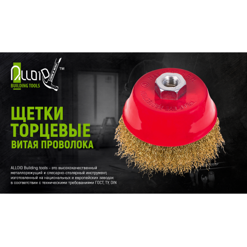 Щітка торцева "кручений дріт" 85мм, М14х2 Alloid | Зображення 1